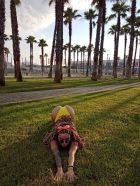 Карина , 8 988 404-90-98 индивидуалочка, рост: 170, вес: 0 — элитные , г. Сочи